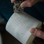 Juliet Macleod in her studio 2018